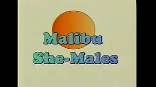 Metro - Malibu Sme Males - Full movie