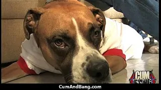 Ebony Hottie Gangbang And Facefuck 27