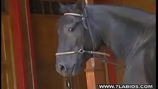 Black stud with big black penis