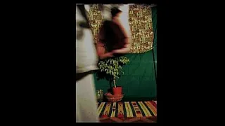 Video Masturbation of Artistic Author
