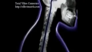 Inseminate
