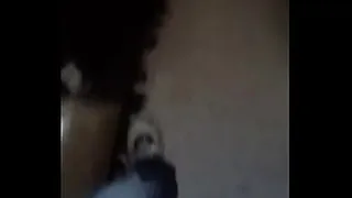 Pissa tuga