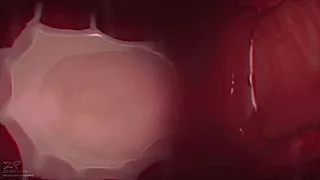 All the way through
