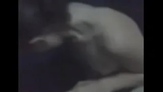 VID 00021.3GP