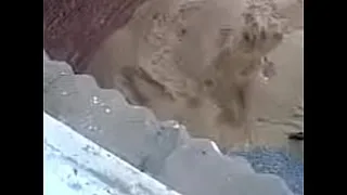 Video003