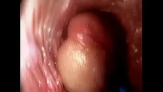 Sex guide  See a Penis inside the Vagina