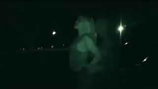 Sex in a car