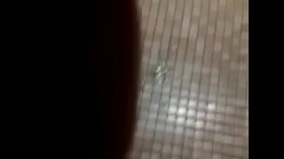 VID 20120927 144559