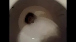 VID 20120919 043831