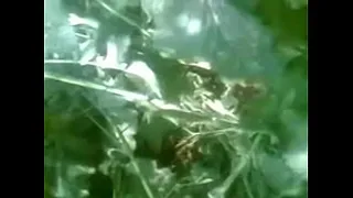 desi sex mms Swata vimal KISS