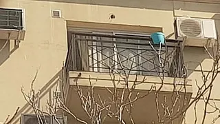Neighbor on the balcony 2nd part