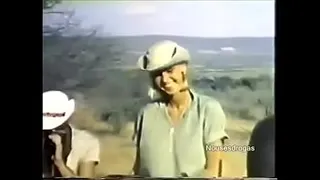 the big penis tribe