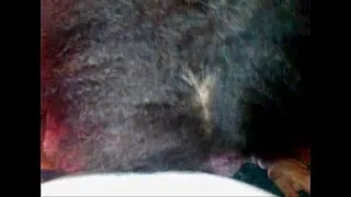 xxxgfheadwdog