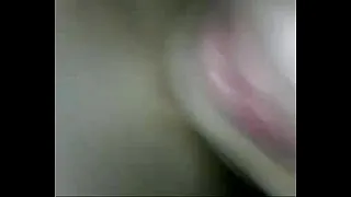young kitten 4