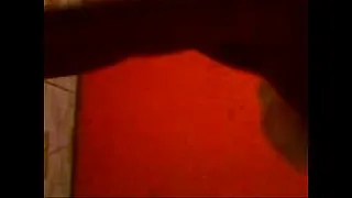 BLONDE KITTEN DANCING AND SHOWING HIMSELF HOT