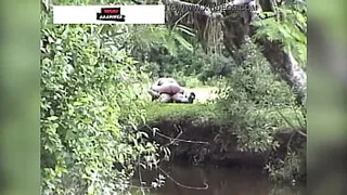 Couple from the countryside is caught having sex in the bush
