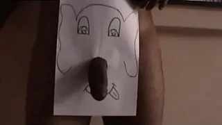 elephant beauty