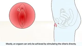The female orgasm explained