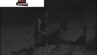 I filmed a couple having sex on the beach at night. A security guard put them to run