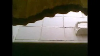 the sister-in-law in the shower