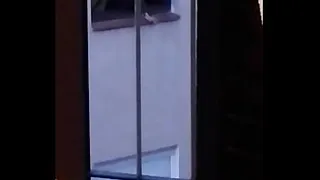 Exhibitionist in front of the window
