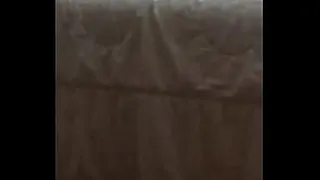 Fluffy lover on 4 legs