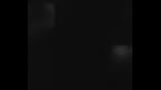 Cock