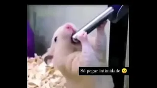 using egg