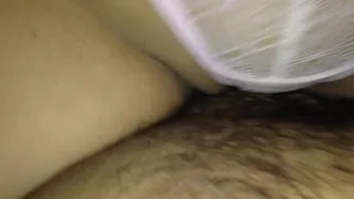 novios