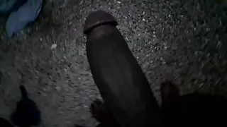 Dick