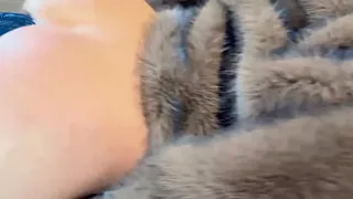 Knot dildo anal creampie fuck machine