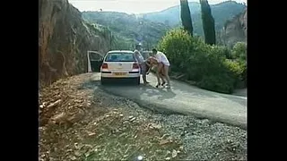 Hitchhiking Sex