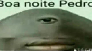 Carlinhos' videos