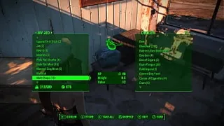FALLOUT 4 Hinata the Asian Survivor [Part 10] - For a better Sanctuary