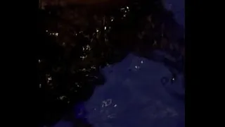Delicious blowjob in the pool