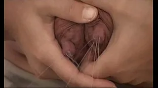 Mamma milk 11b