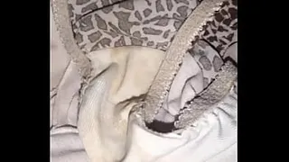 Dirty panties, how delicious