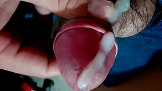 Pure milk 2
