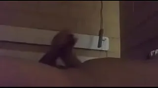 Milk over fire