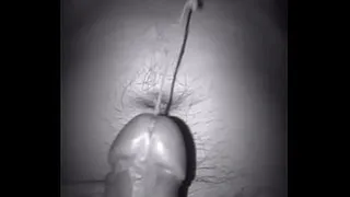 Rafa's milk