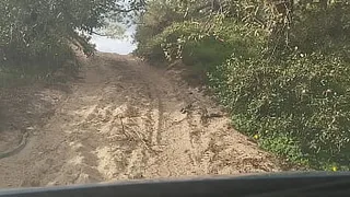 Guy of car spills a lot of milk on a trail near the sea