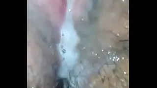 Milk from two cocks