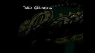 @MxEncuentros A rich fuck to @lilianalexsw