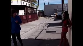 Buck-Crazed Black Sluts: Anything (Part 2)