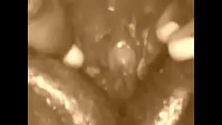 wet pussy