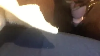 Wetter pussy
