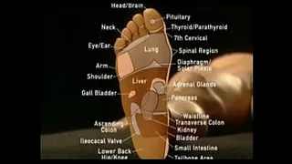 educational toe sucking