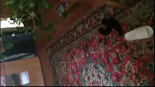 ass sex