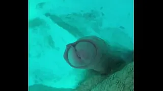 I cum in the pool without hands