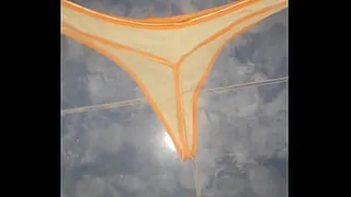 My wet pantyhose